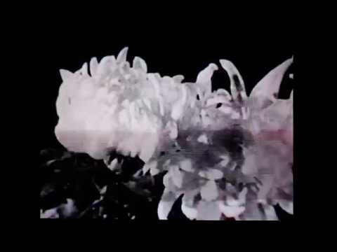 1927 Time Lapse by A.C. Pillsbury - YouTube