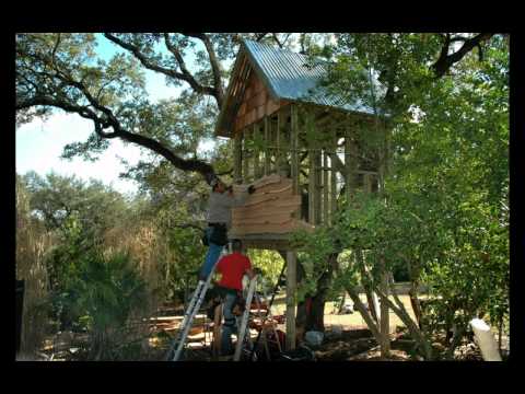 Austin Tx. Tree House