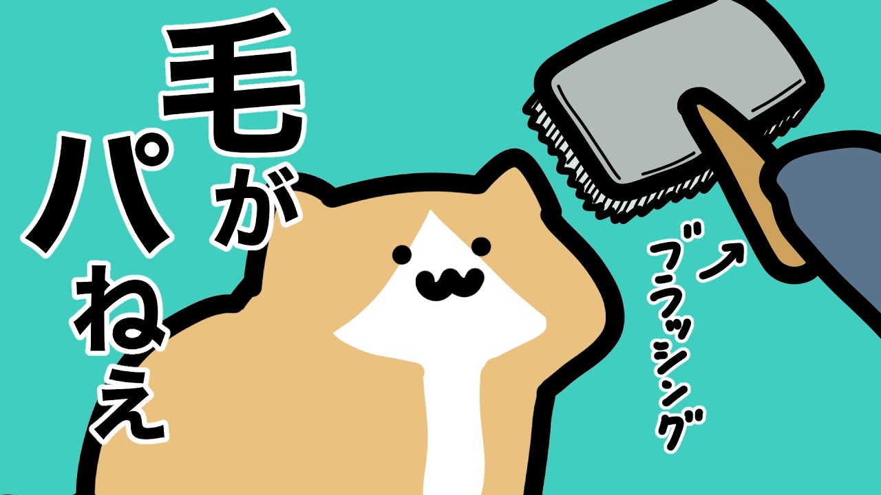 毛がパねぇ - YouTube