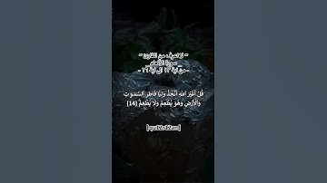 ~ لا اعرف من القارئ ~_ سورة الأنعام _- من اية ١٣ الى اية ١٦ -|qu12r12an|