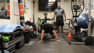Bear Crawl