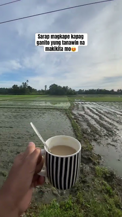 Sarap magkape kapag ganito yung tanawin na makikita mo😍 #nature #fyp #foryou #trend #viralvideo