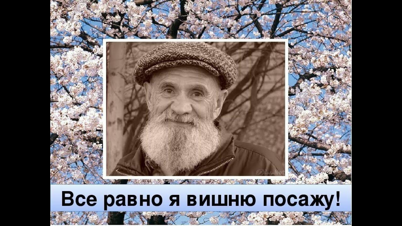 Стихотворение м. Вишня стихотворение исаковского. Вишню посадил стих. Стих вишня в ясный полдень на исходе лета. Вишню посадил стих.