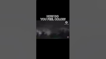 Bud has 6 senses 💀 #funny #meme #viral #shorts