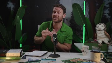 5 Ways To Instantly Get Google Reviews for Your MSP