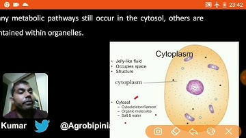 Series -1 Most important MCQ of Plant Physiology for JRF,SRF, NET,ARS and IBPS Exam