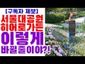 서울대공원 히어로가든, 이렇게 멋지게 바뀔 줄이야?