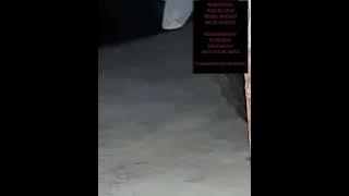 Corus Lagu.Disini Pasti by Utopia