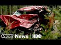 Maine's Strict Opioid Law Is Harming Chronic Pain Patients | World of Hurt (HBO)