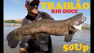 FARI10 - TRAIRAO 50UP MONSTRO DO RIO DOCE