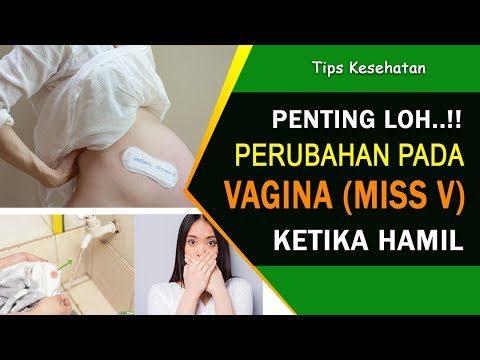 4  Perubahan pada Vagina (Miss V) Saat Hamil, Jangan Kaget..!! - Bersih Wanita Kapsul