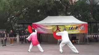 香港功夫表演201801214