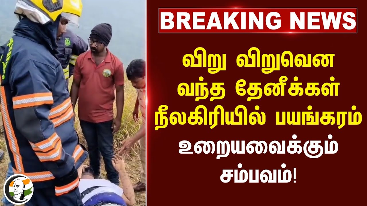 #BREAKING: விறு விறுவென வந்த தேனீக்கள்..  நீலகிரியில் பயங்கரம் உறையவைக்கும் சம்பவம்! | Nilgiris
