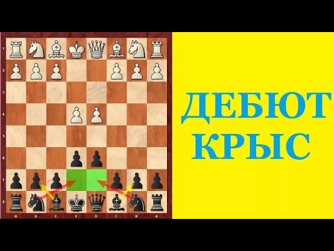 Видео: КРЫСИНАЯ ЗАЩИТА. КОВАРНЫЙ ДЕБЮТ В ШАХМАТАХ. Школа шахмат d4-d5.