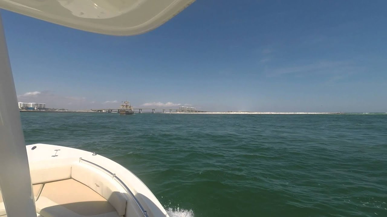 Dolphins and Pirate Ships in Orange Beach, AL