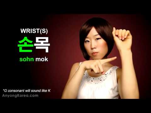 BODY PARTS in Korean (KWOW#31)