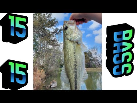 Bass Fishing (15)
