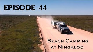 Ningaloo Station | Trekking in to Point Billie | We set up camp in the wrong spot! | EP 44
