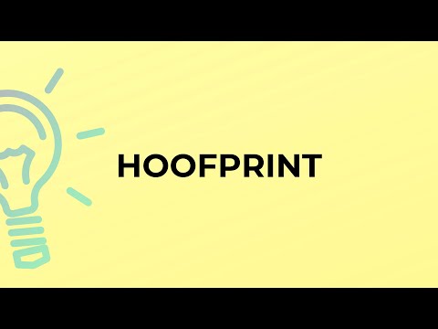 Video: Hoofprint è un sostantivo?