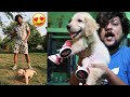 A DAY IN MY DOG LIFE😱😍 | FIRST Morning WALK