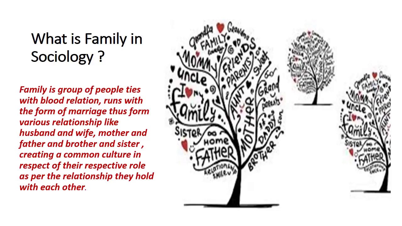What Is Family And Types Of Family YouTube What Is Family And Types Of Family YouTube