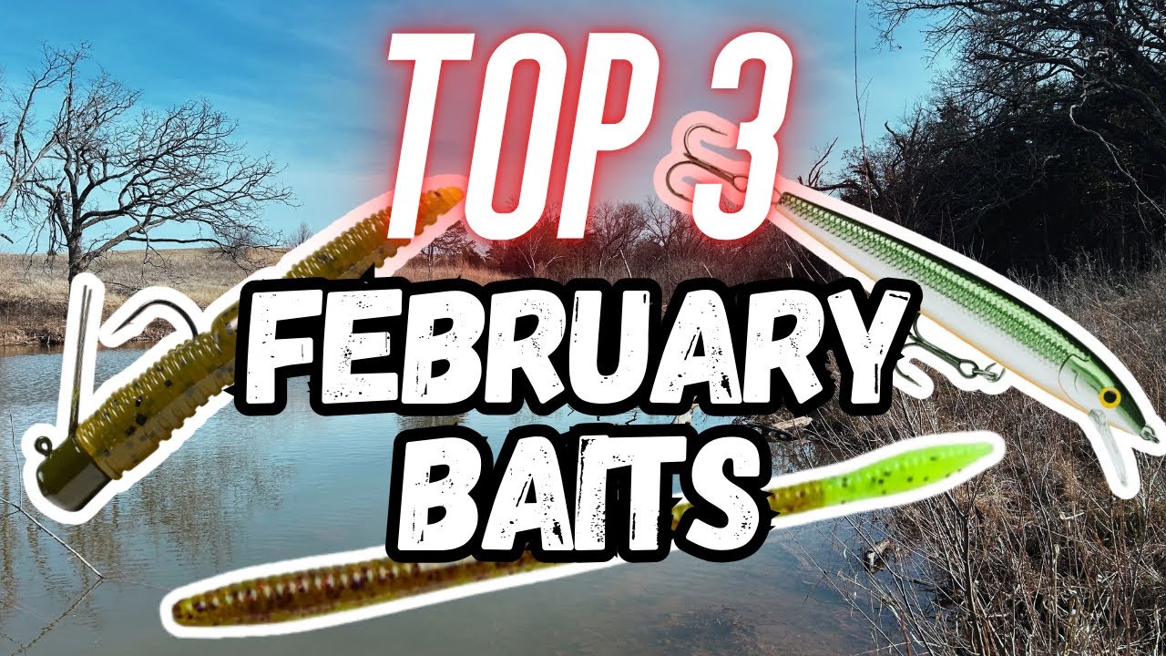BEST three BAITS for FEBRUARY BASS FISHING