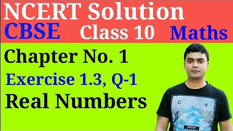 Real Numbers Ex. 1.3 Q-1 | Class 10th Maths | ncert solutions