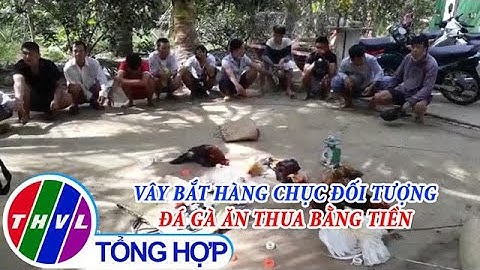 Vây bắt hàng chục đối tượng đá gà ăn thua bằng tiền