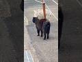🐱母への問いかけ ~猫が語る切ないひとこと~‼️