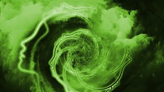 Spirale Dynamique : Niveau Vert 🌀