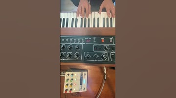 Prophet-5 + Chroma Console