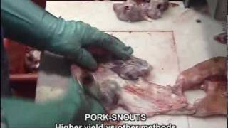 PorkSnouts.wmv
