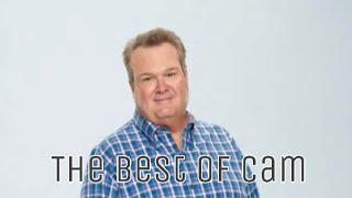 The Best of Cameron Tucker from Modern Family