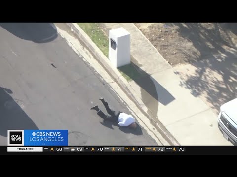 Encino bee swarm: LAPD volunteer hospitalized; others stung