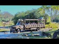 Kilimanjaro Safaris at Disney's Animal Kingdom 2022 Experience in 4K | Walt Disney World Florida