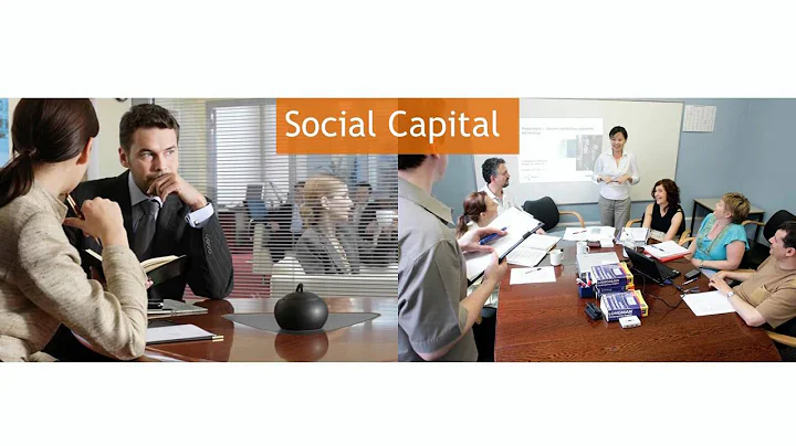 Social Capital Defined - Professor Karen Stephenson