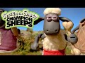 ChampionSheeps Relay Shaun the Sheep