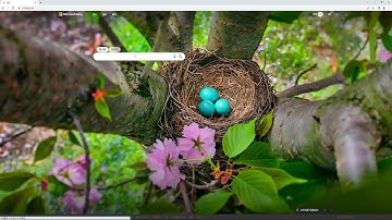 9  聊聊 顯卡GPU與CUDA | Windows下深度學習環境PyTorch的安裝與配置教程