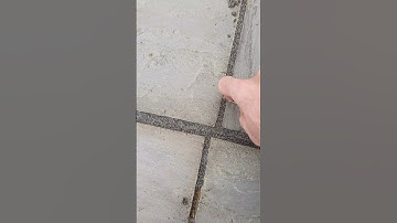 patio grout Sika vs Easy Joint