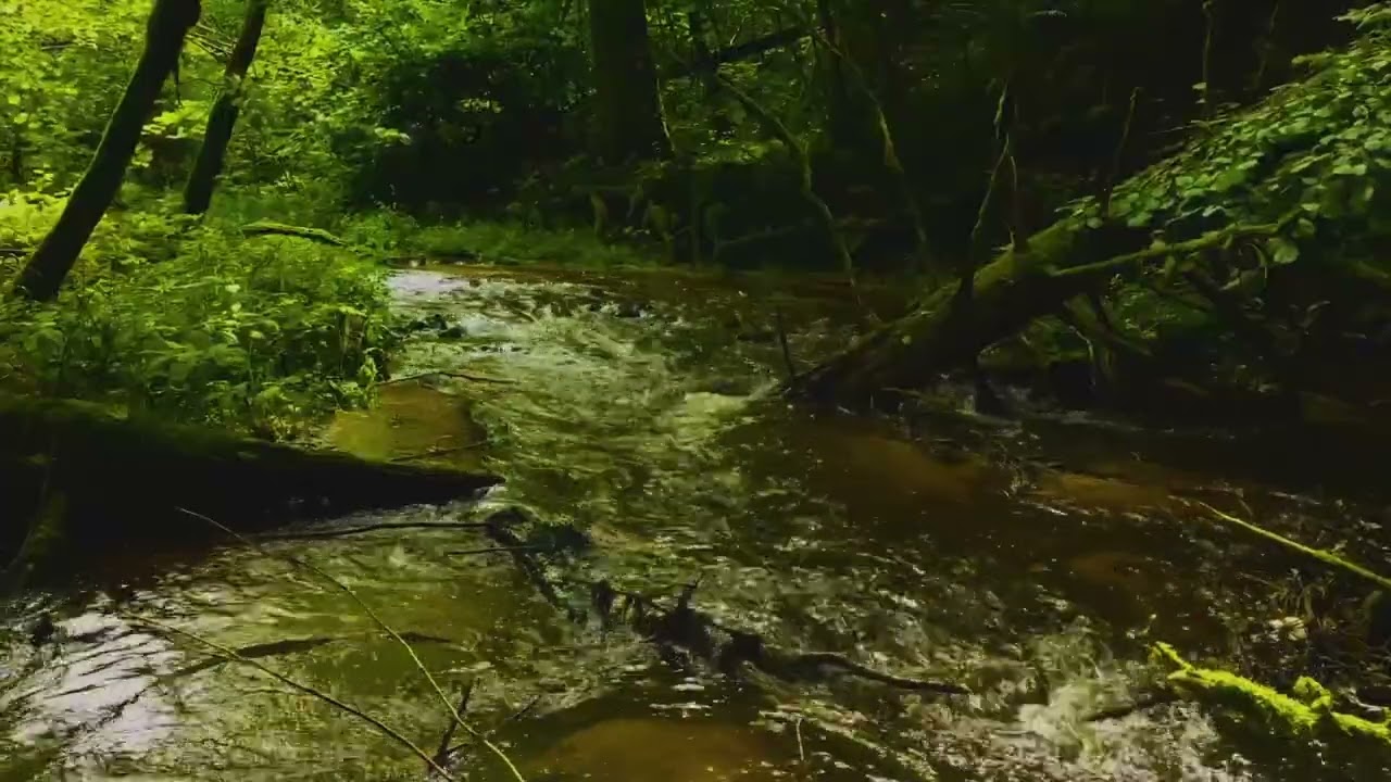 Waterfall Sounds for Sleep | Sleep Water White Noise, Relaxing Waterfall Sound for Insomnia Relief