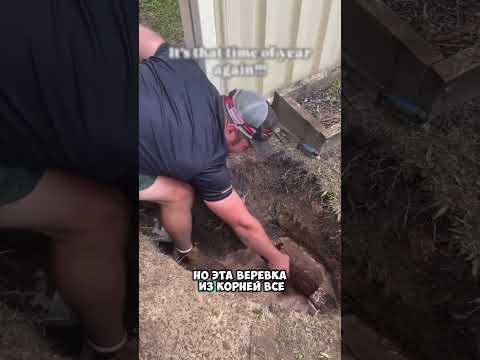 Нужно было всего лишь почистить канализацию 😳