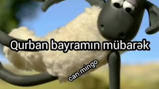 Qurban Bayramı Videosu Maraqlı