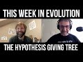 TWiEVO 59: The hypothesis giving tree