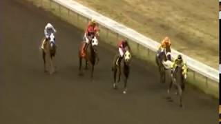 Cate's Gold Emerald Downs 7-5-19