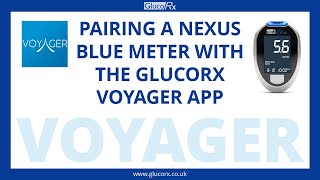 Pairing your GlucoRx Nexus Blue Meter with the GlucoRx Voyager app screenshot 3