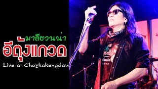 อีตุ้งแกวด - มาลีฮวนน่า Live at chaykakengdaw chords