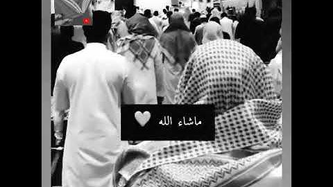 تلاوة خاشعة وآيات مباركة من سورة البقرة📚|القارئ عمر الدريويز|حالات واتس اب إسلامية💕