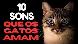 Os 10 Sons que os Gatos Mais Gostam de Ouvir!