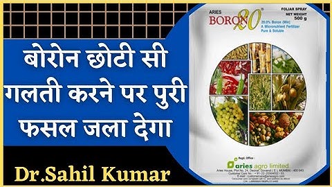 Boron toxicity in plants. Boron deficiency symptoms in Hindi and English. Harmful effects of boron.