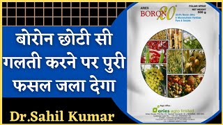 boron toxicity in plants।boron deficiency in plants symptoms in hindi and english। बोरॉन का नुक़सान।